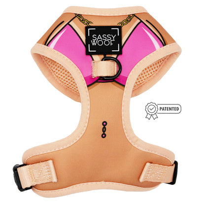 Dog Two Piece Bundle - Bikini Bod