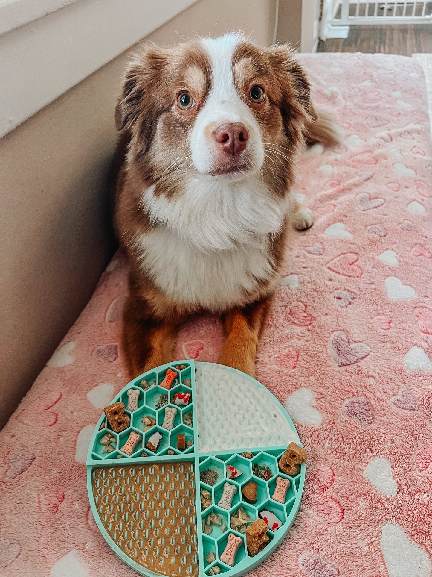 Dog Lick Mat