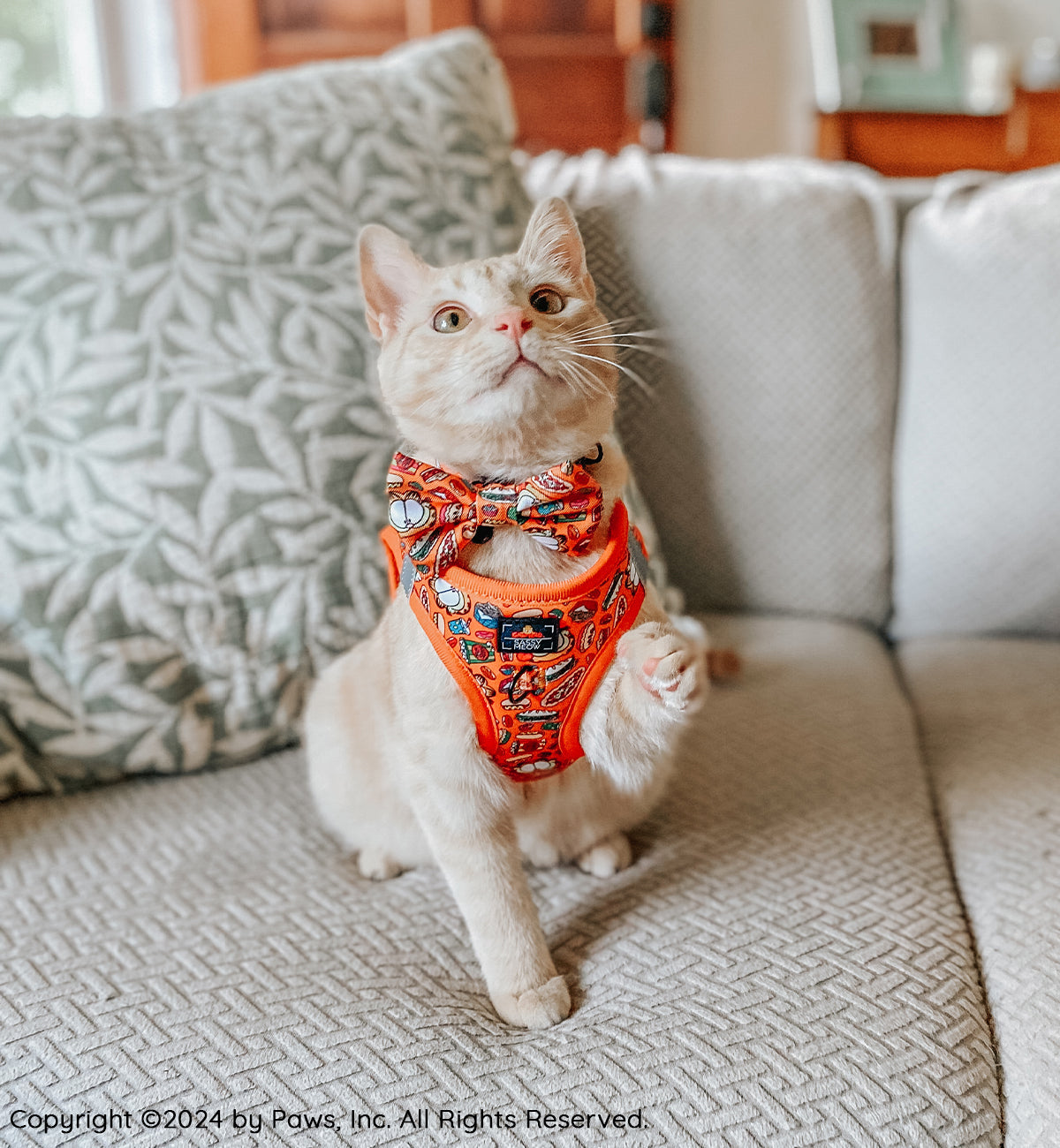 Cat Bowtie - Garfield™