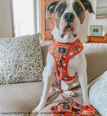 Dog Four Piece Bundle - Garfield™