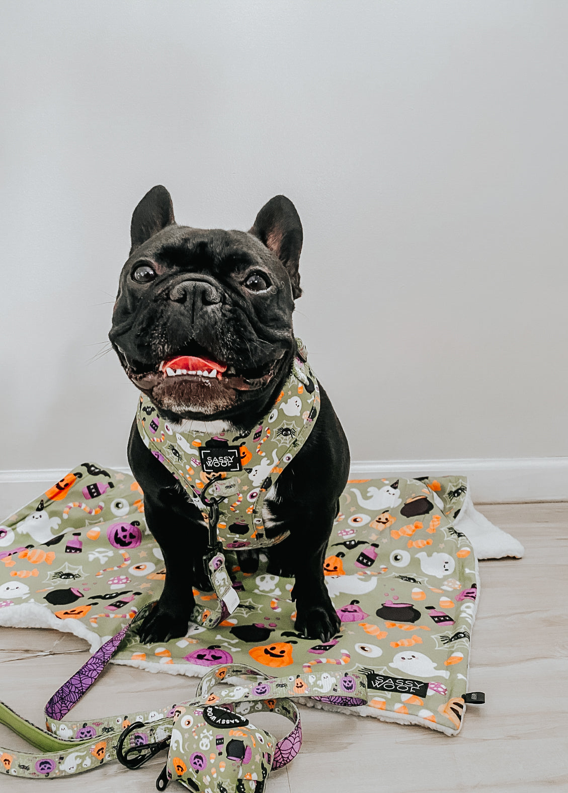 Pet Blanket - Haunt Mess