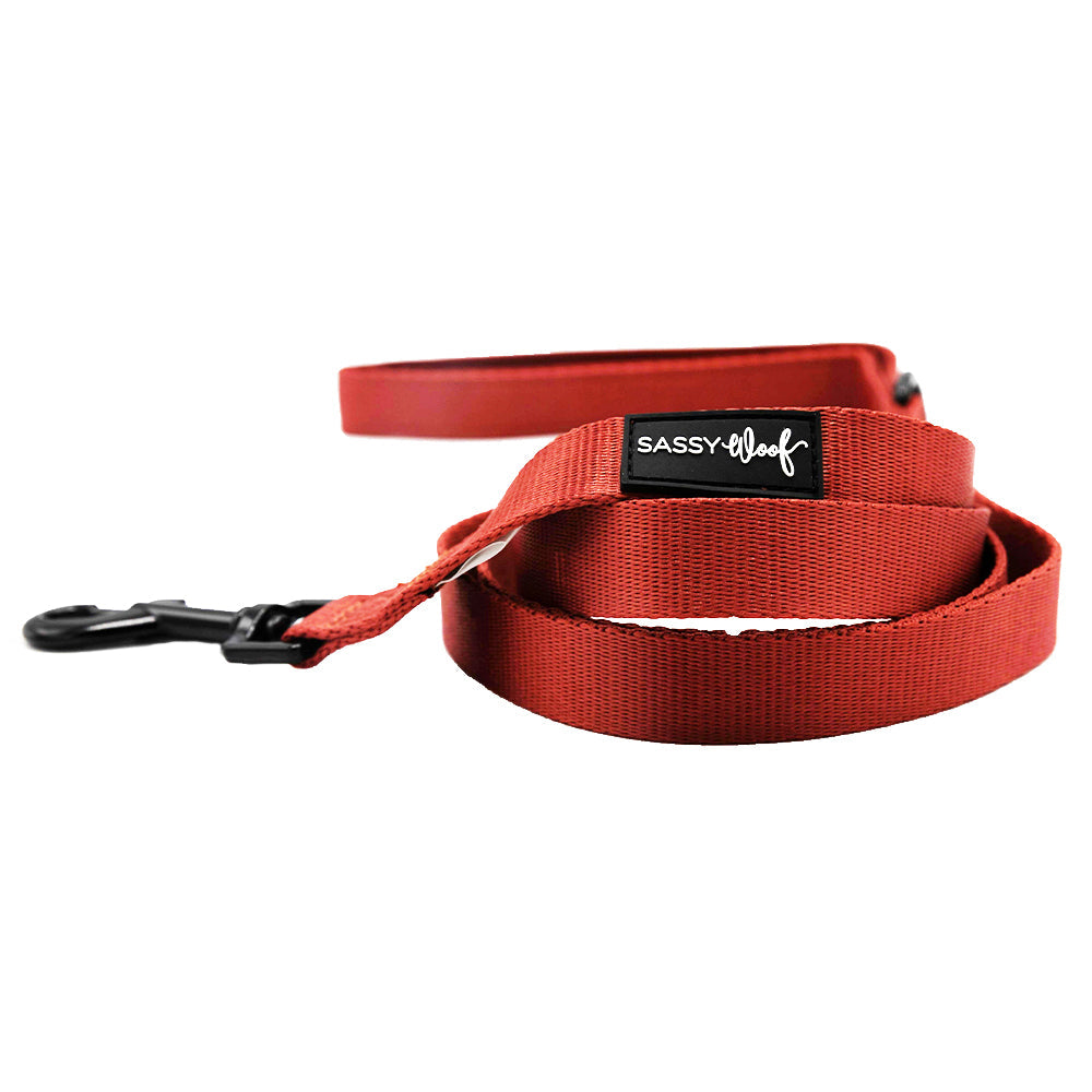 Dog Four Piece Bundle - Burgundy