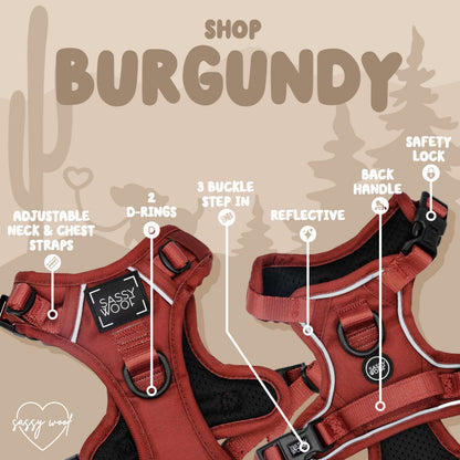 Dog Two Piece Bundle - Burgundy