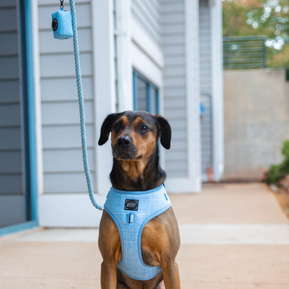 Dog Four Piece Bundle - Blumond