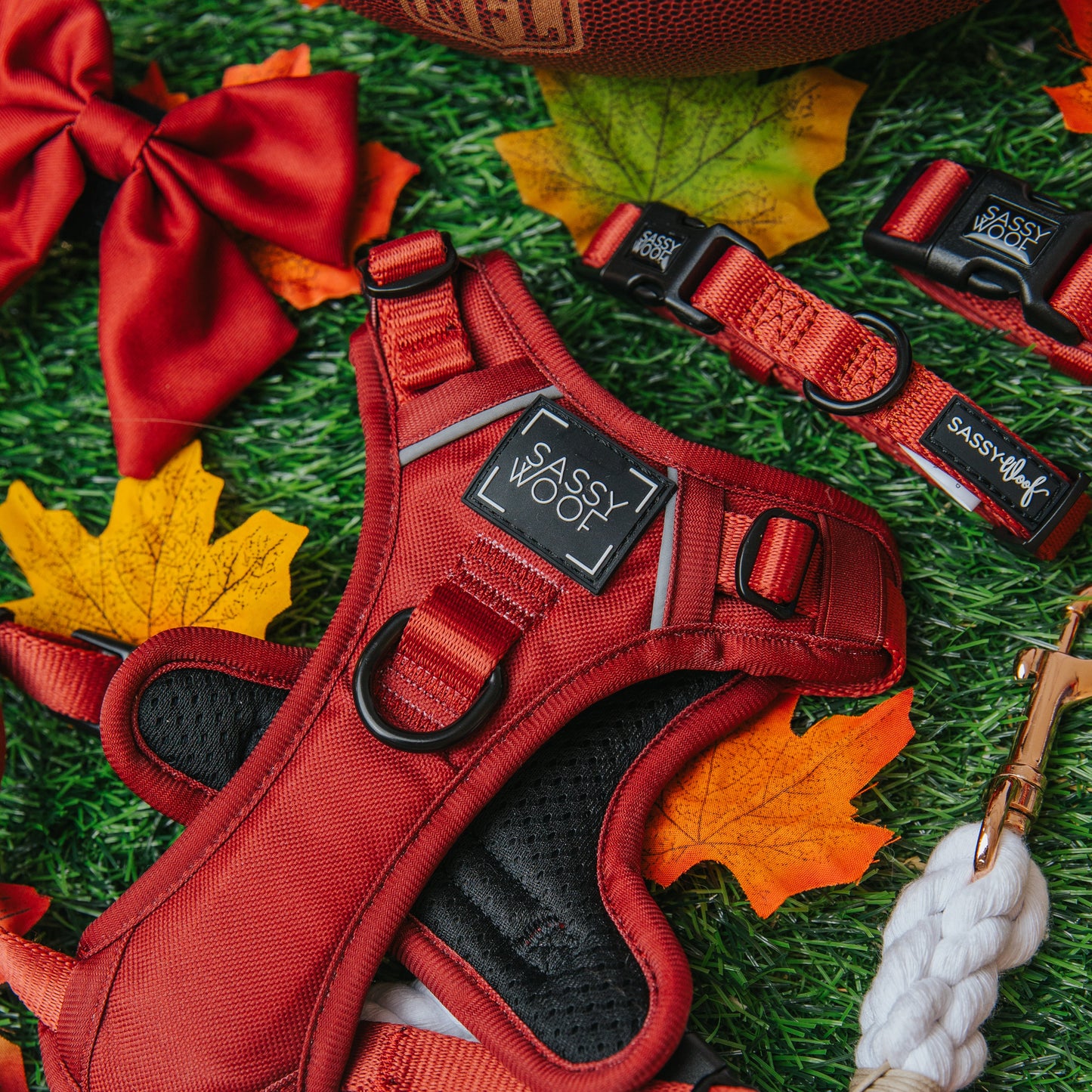 Dog Two Piece Bundle - Burgundy