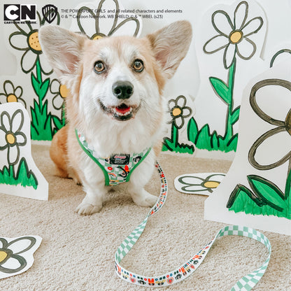 Dog Leash - The Powerpuff Girls™ (Green)