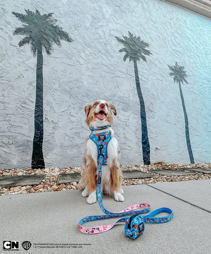 Dog Collar - The Powerpuff Girls™ (Blue)