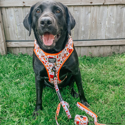 Dog Waste Bag Holder - Peanuts™ Harvest