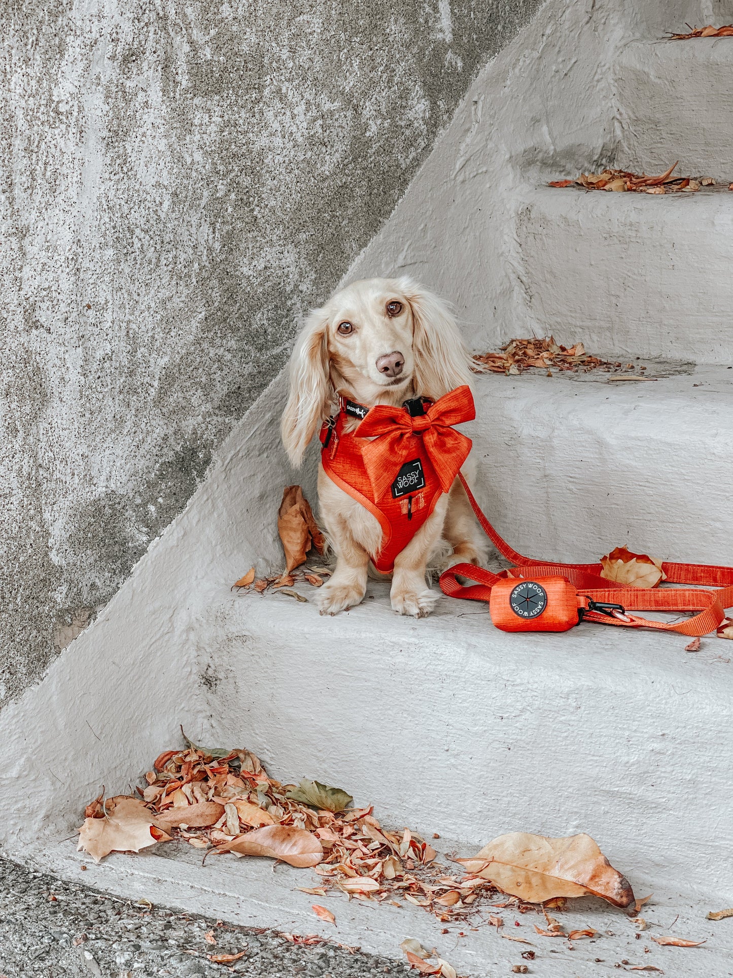 Dog Waste Bag Holder - Foxy
