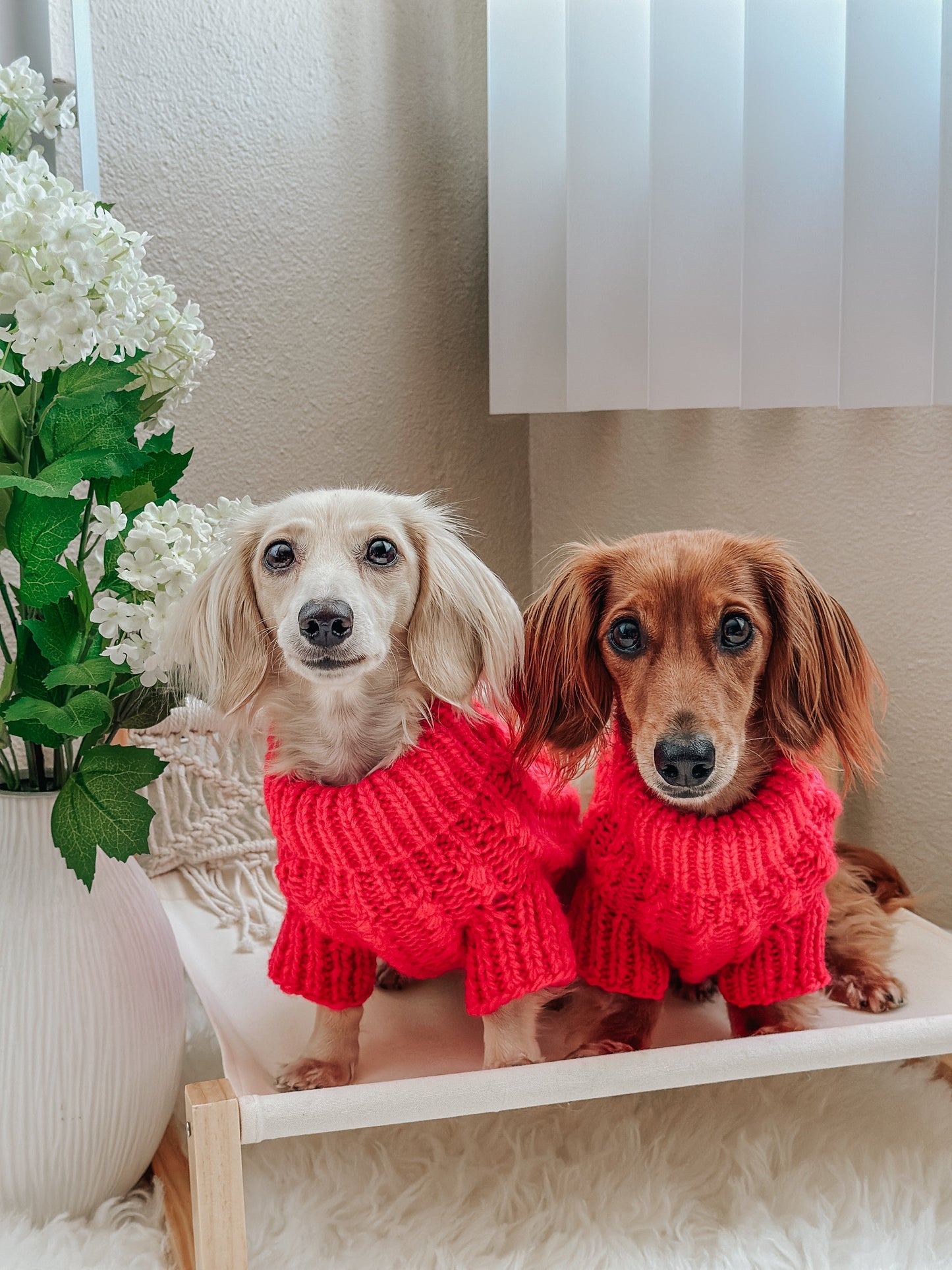 Pet Cable Knit Sweater - Hot Pink