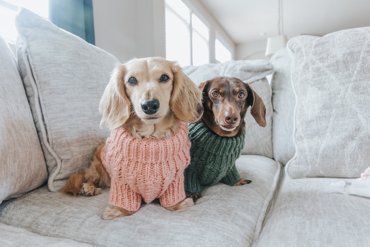 Pet Cable Knit Sweater - Pink