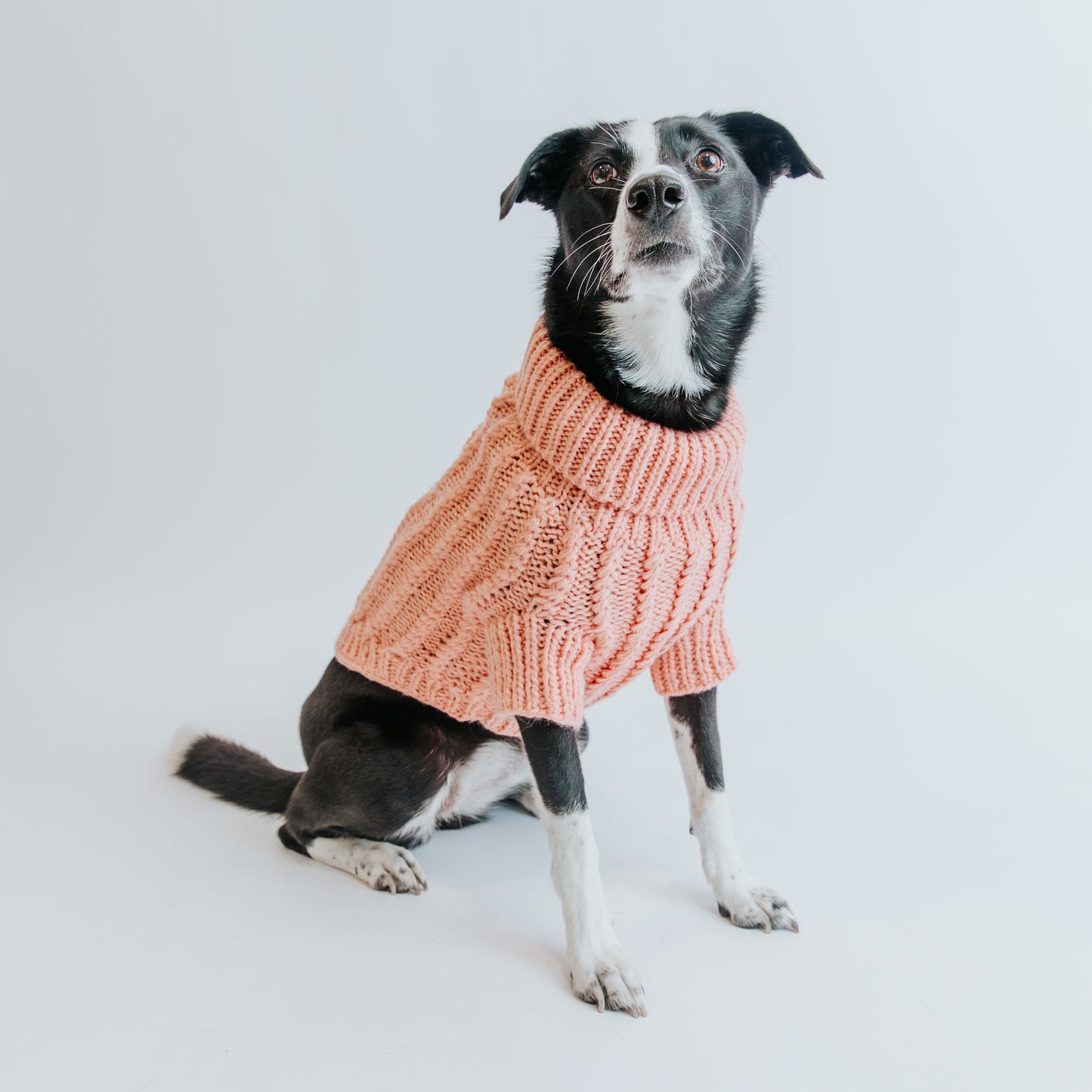 Pet Cable Knit Sweater - Pink