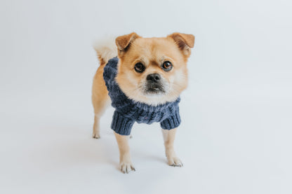 Pet Cable Knit Sweater - Navy