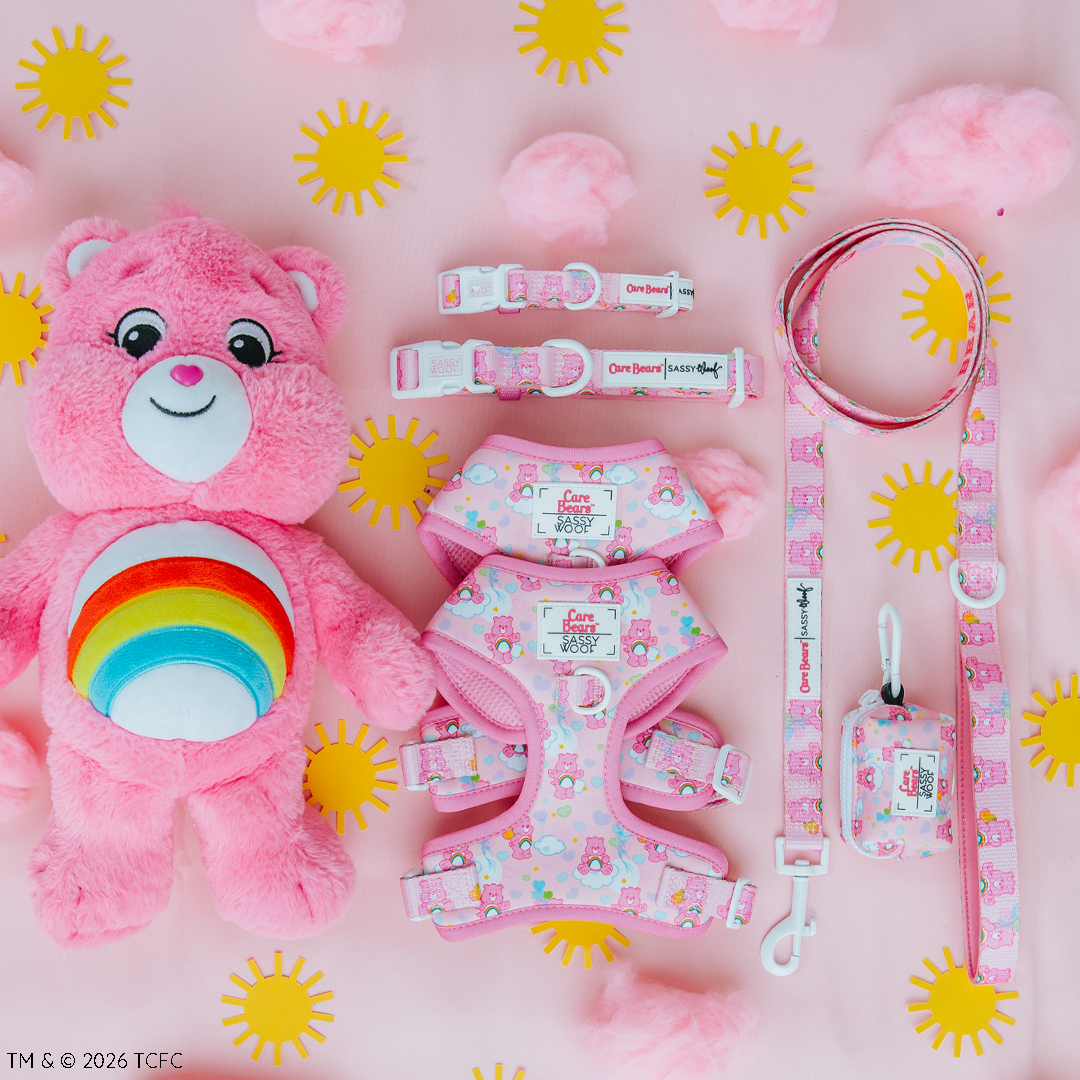 Dog Four Piece Bundle - Care Bears™ Care-a Lot