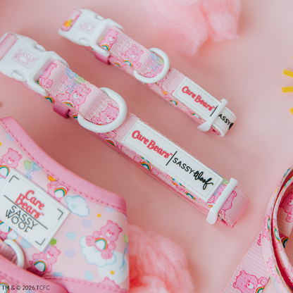 Dog Collar Three Piece Bundle - Care Bears™ Cheer Bear