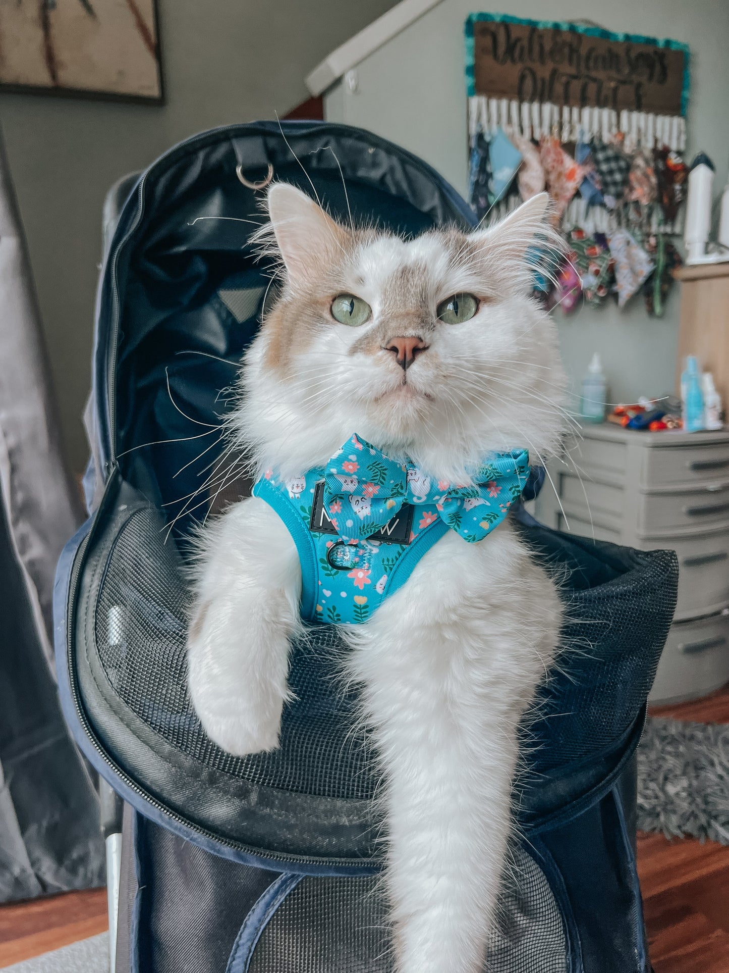Cat Bowtie - Purrs & Petals