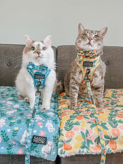 Pet Blanket - Zest Friends