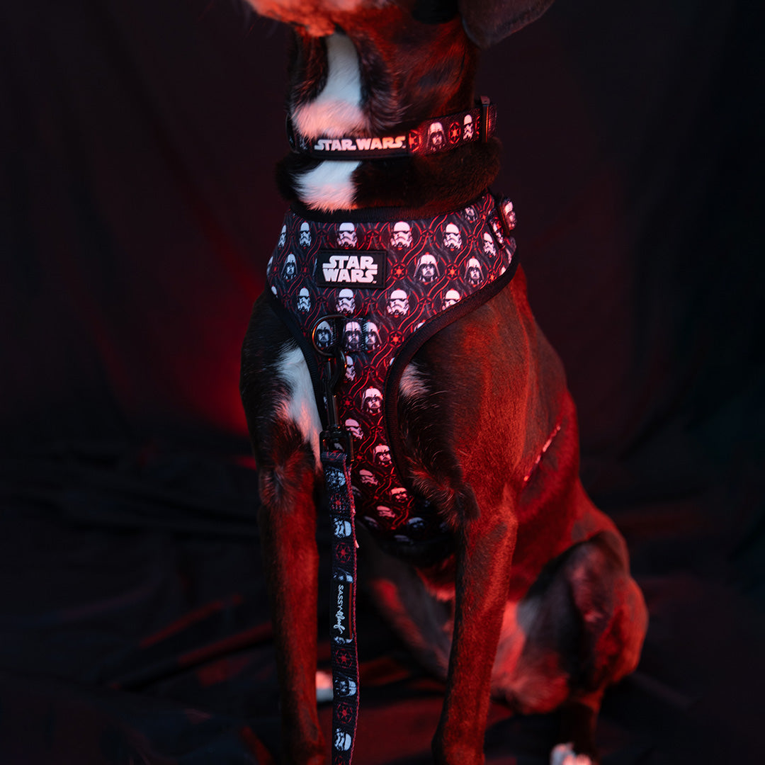 Dog Two Piece Bundle -  STAR WARS™ The Dark Side