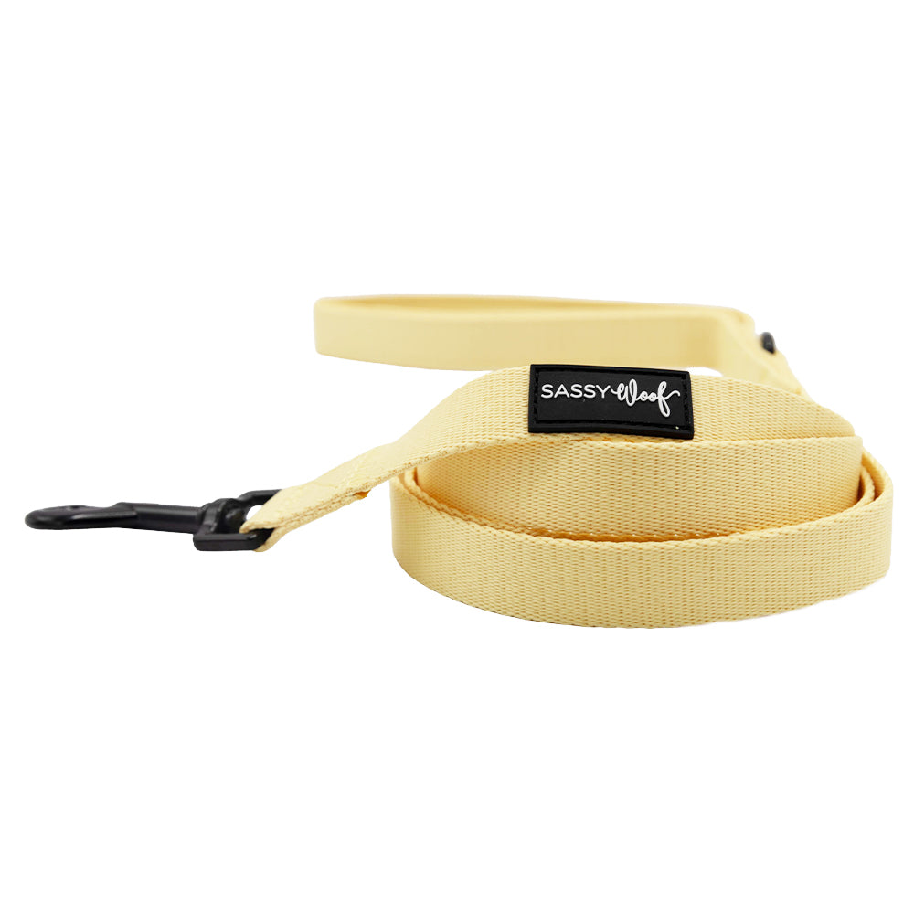 Dog Two Piece Bundle - Daffodil