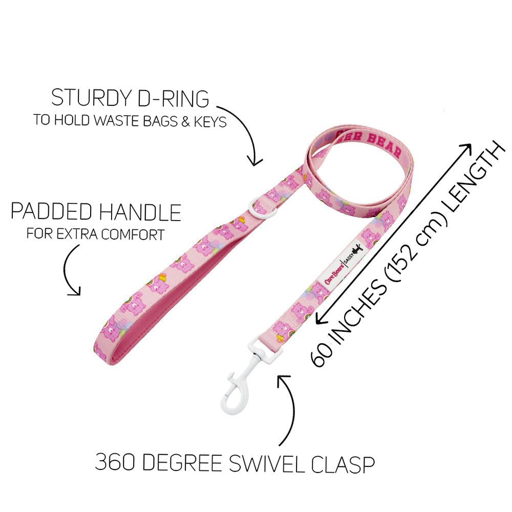 Dog Collar Three Piece Bundle - Care Bears™ Cheer Bear