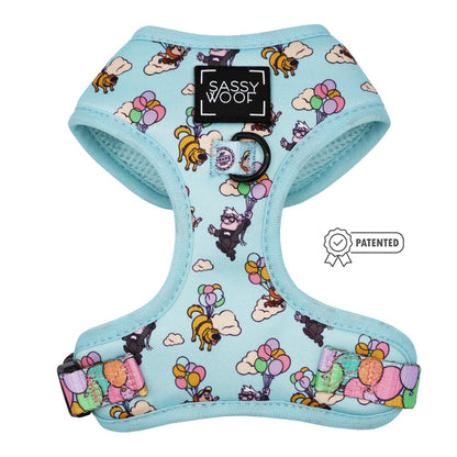 Dog Two Piece Bundle - Disney and Pixar's Up