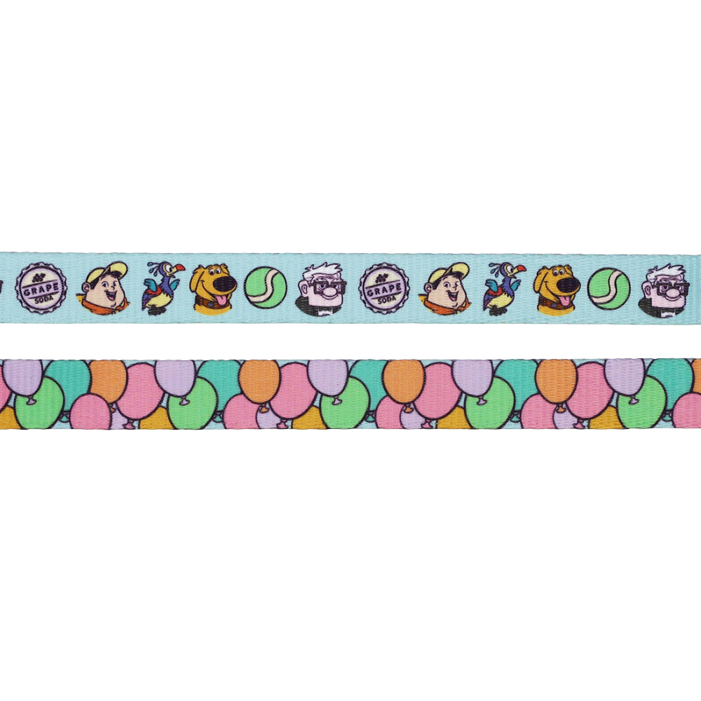 Dog Two Piece Bundle - Disney and Pixar's Up