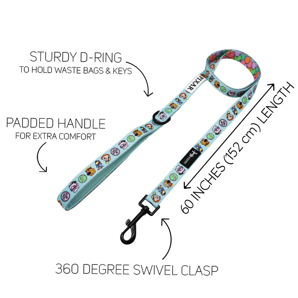 Dog Two Piece Bundle - Disney and Pixar's Up