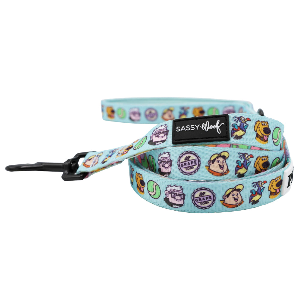 Dog Two Piece Bundle - Disney and Pixar's Up