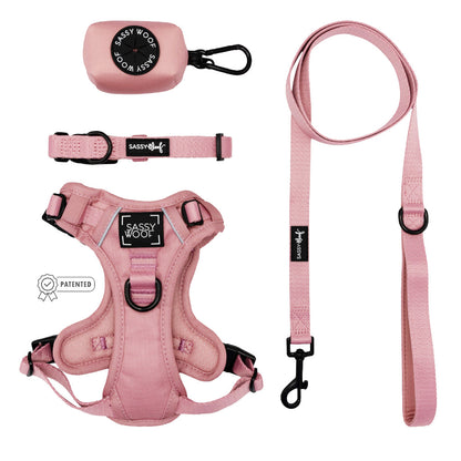 Dog Four Piece Bundle - Dusty Rose
