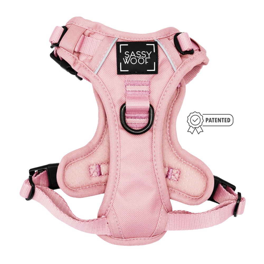 Dog Four Piece Bundle - Dusty Rose