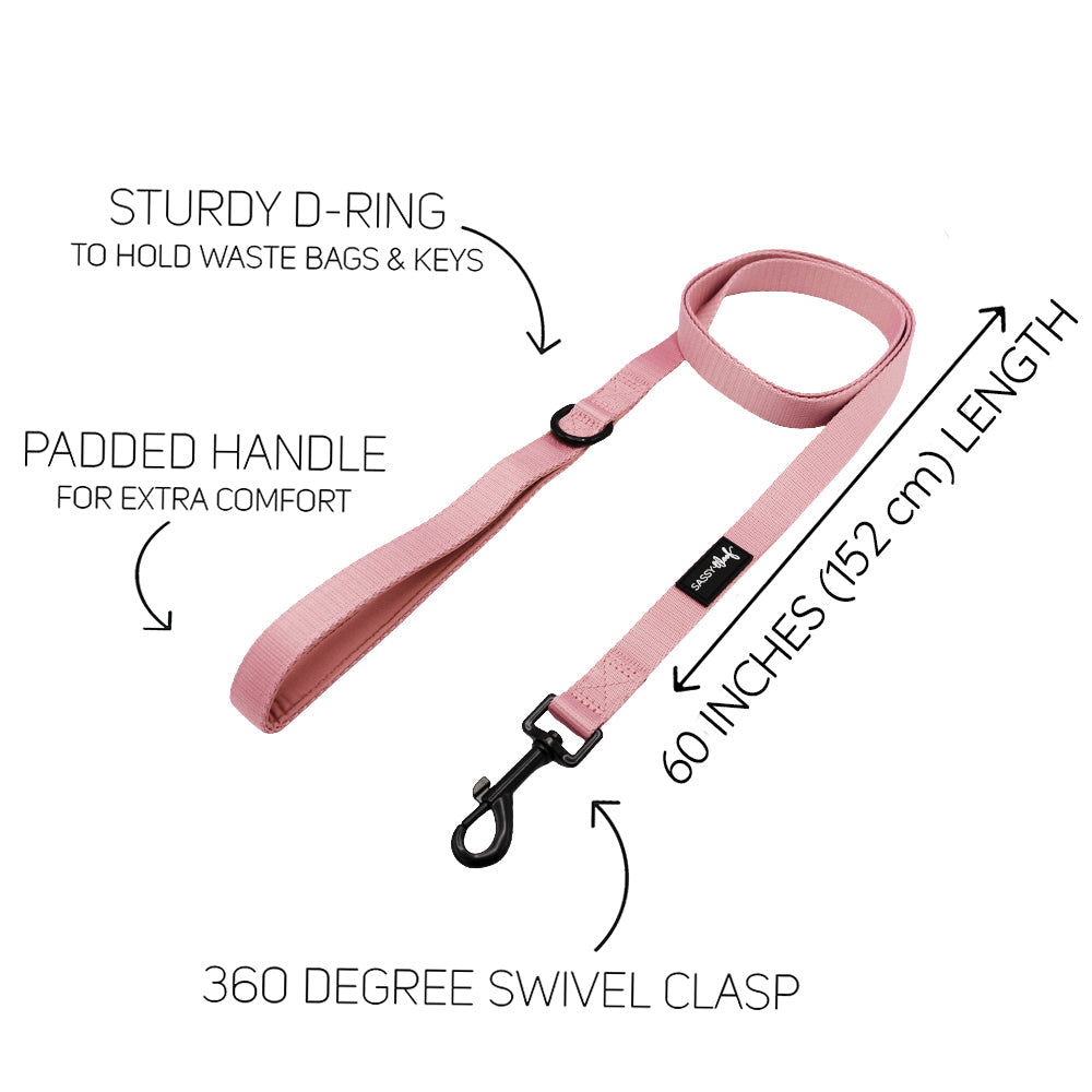 Dog Four Piece Bundle - Dusty Rose