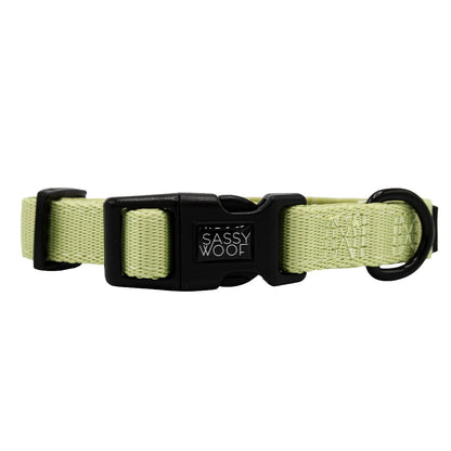 Dog Three Piece Bundle - Matcha