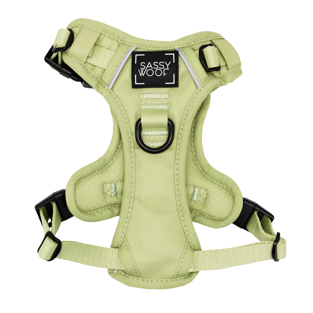 Dog Step-in Harness - Matcha