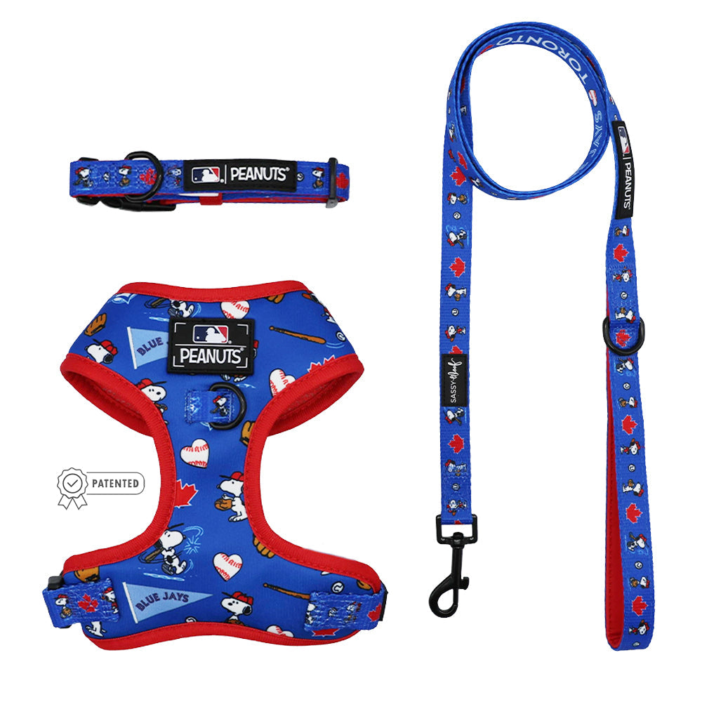 Harness Three Piece Bundle - MLB™ x Peanuts™ Toronto Blue Jays™