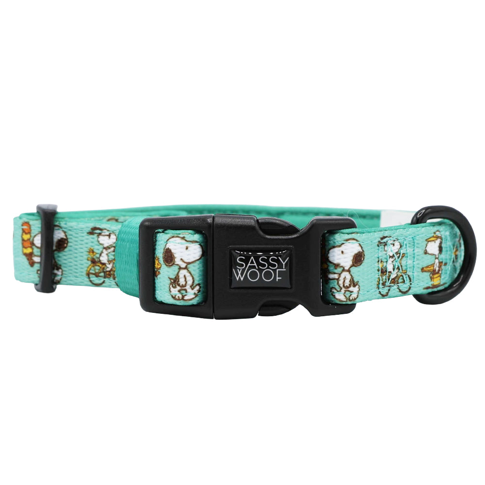 Dog Collar Three Piece Bundle - Peanuts™ Road Tripping