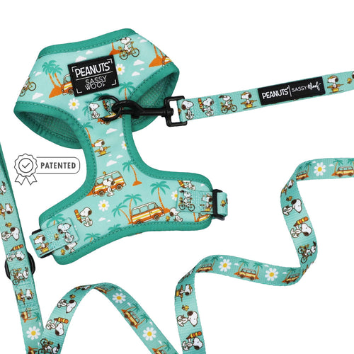 Dog Two Piece Bundle - Peanuts™ Road Tripping
