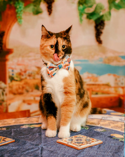 Cat Bowtie - Portofino