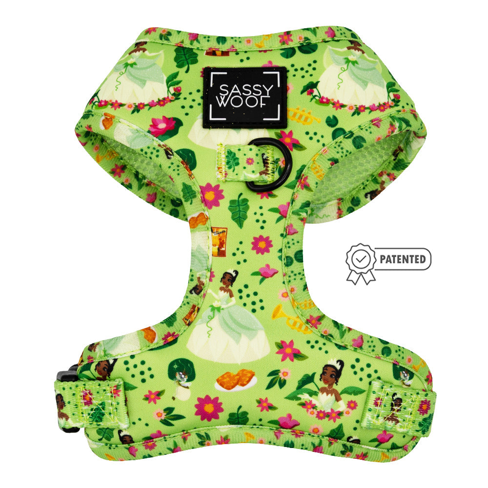 Dog Two Piece Bundle - Disney's Tiana