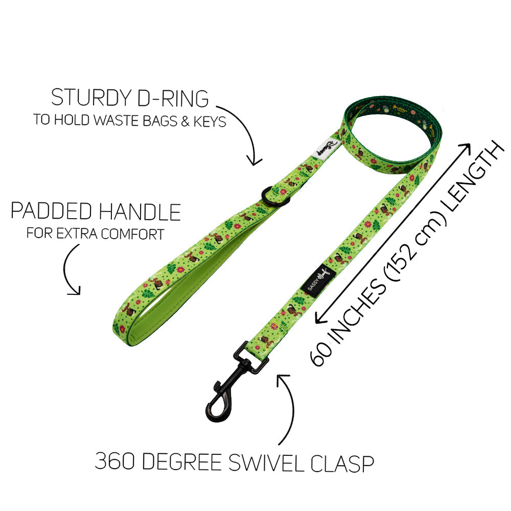 Dog Leash - Disney's Tiana