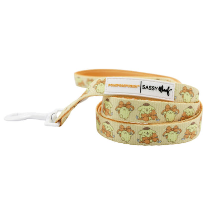 Dog Collar Three Piece Bundle - Pompompurin™