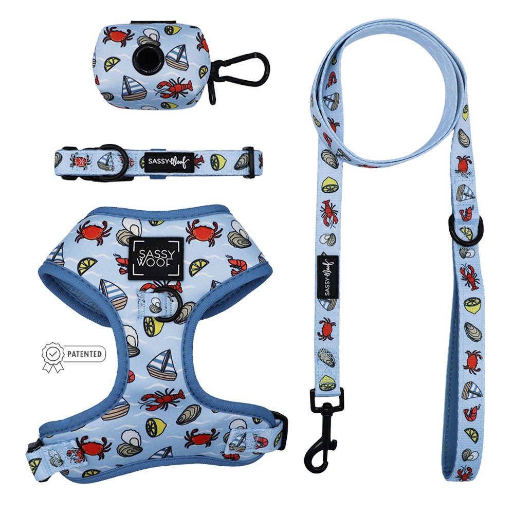 Dog Four Piece Bundle - Coastal Cuties