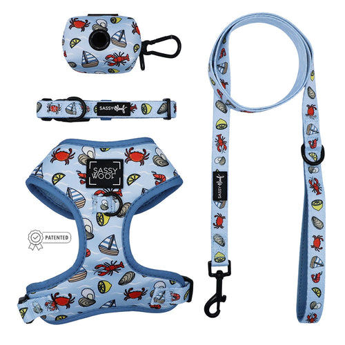 Dog Four Piece Bundle - Coastal Cuties