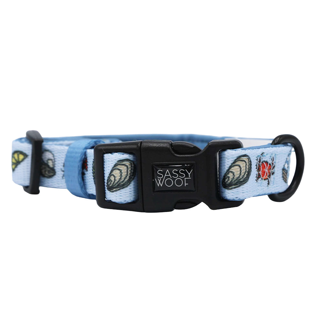 Dog Four Piece Bundle - Coastal Cuties