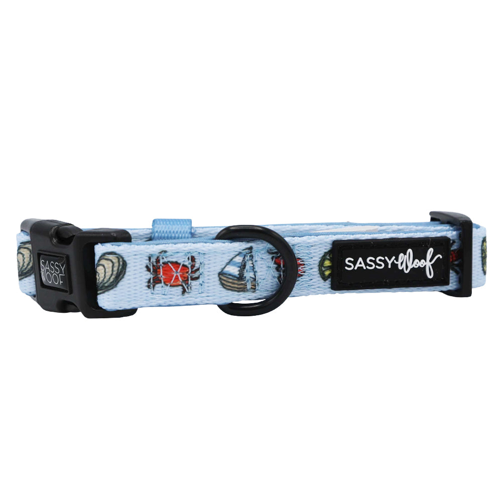 Dog Collar - Coastal Cuties