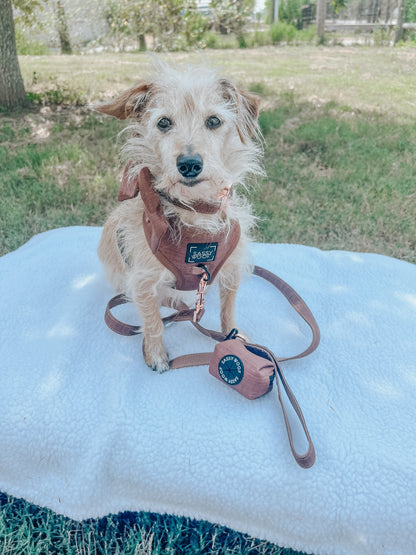 Dog Waste Bag Holder - Teddy