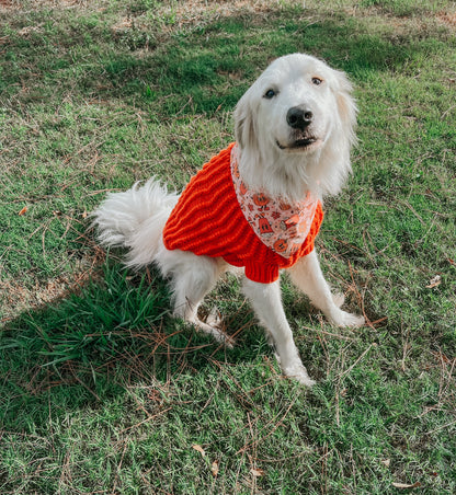 Pet Cable Knit Sweater - Orange