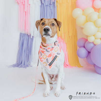 Dog Bandana - Friends™ (Lobster)