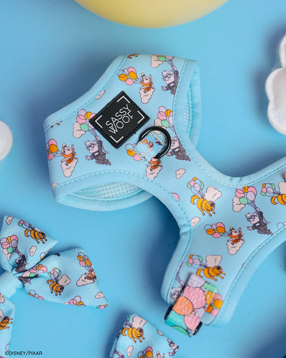 Dog Two Piece Bundle - Disney and Pixar's Up
