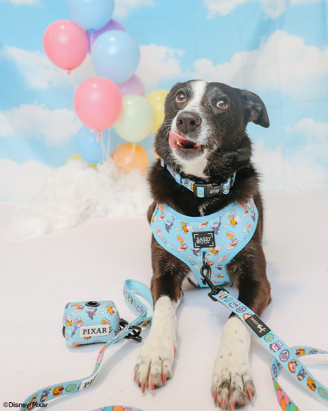 Dog Four Piece Bundle - Disney and Pixar's Up