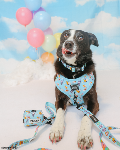 Dog Four Piece Bundle - Disney and Pixar's Up
